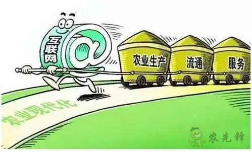 朱启臻:互联网给农业全产业链插上翅膀