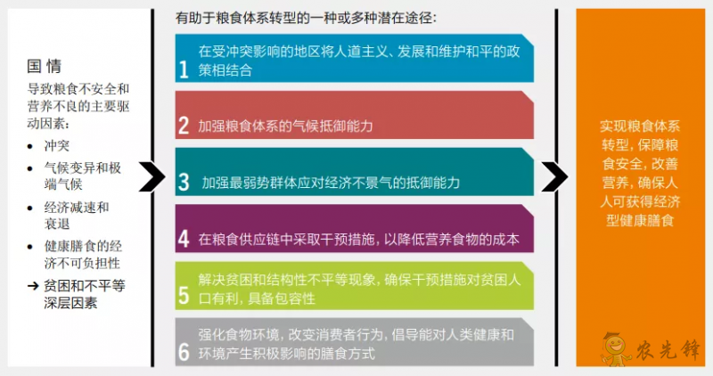 全球12%的人口面临重度粮食不安全 世界粮食体系亟待转型