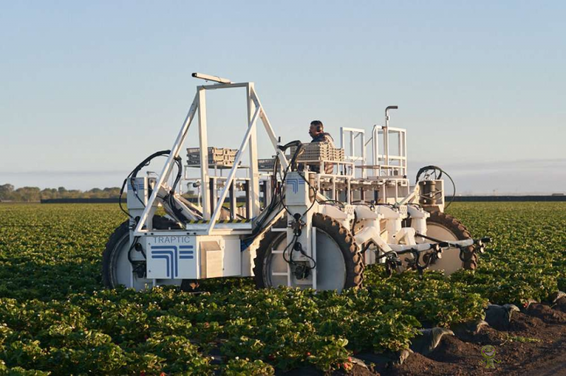 美国草莓采摘机器人初创公司（Traptic）开始商业化运营
