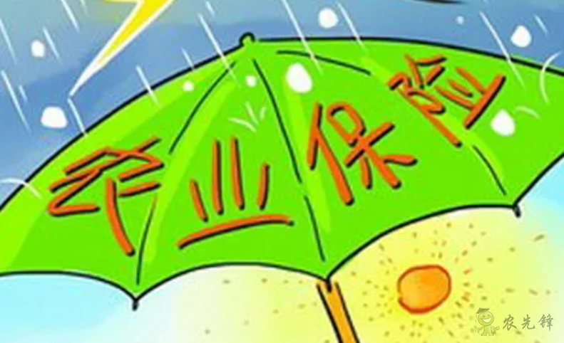 龙文军:河南特大暴雨突显农业保险的重要性