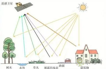 中国遥感卫星再添新成员 看TA在太空如何对农作物“称斤计两”?