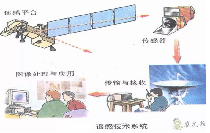 中国遥感卫星再添新成员 看TA在太空如何对农作物“称斤计两”?