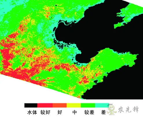 中国遥感卫星再添新成员 看TA在太空如何对农作物“称斤计两”？