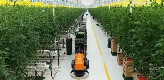 华为养猪带来的效应,AI+视觉技术正推进智慧农业