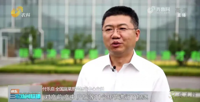 “寿光标准”向全国输出 推动蔬菜产业提档升级