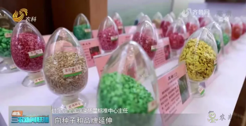 “寿光标准”向全国输出 推动蔬菜产业提档升级