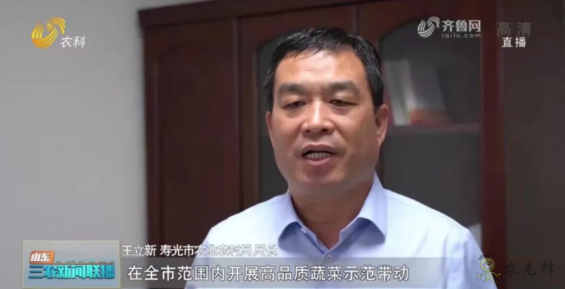 “寿光标准”向全国输出 推动蔬菜产业提档升级