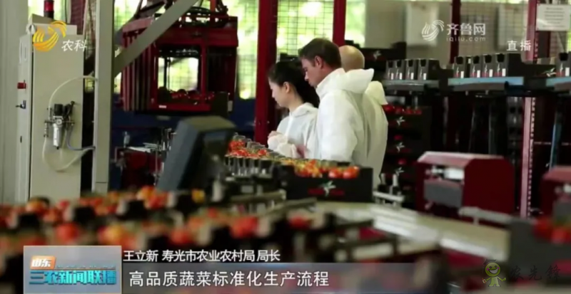 “寿光标准”向全国输出 推动蔬菜产业提档升级