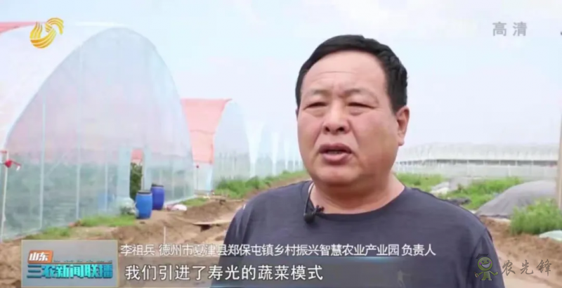 “寿光标准”向全国输出 推动蔬菜产业提档升级
