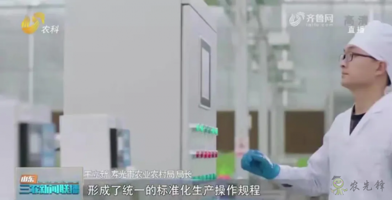 “寿光标准”向全国输出 推动蔬菜产业提档升级