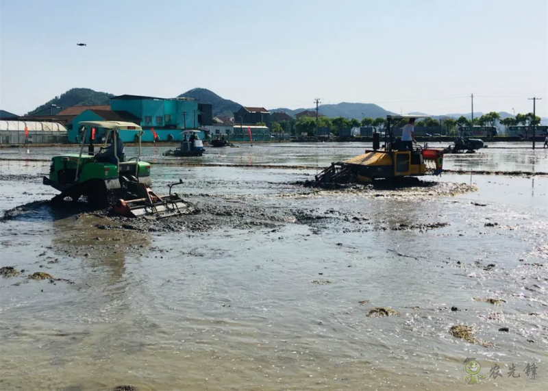 浙江农业农村:推动“机械强农”行动