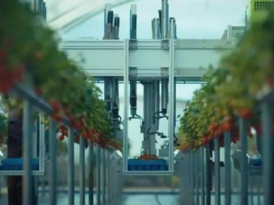 AGROBOT草莓采摘机器人