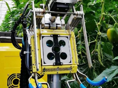 Sweeper 甜椒收获机器人