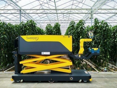 Sweeper 甜椒收获机器人