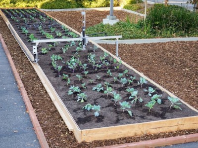 Farmbot全自动种植机器人
