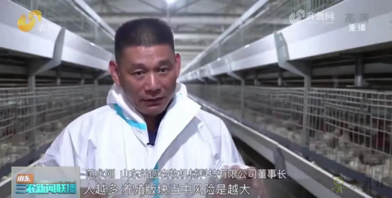 山东日照： 智慧养殖新模式 36万只肉鸡养殖不犯难