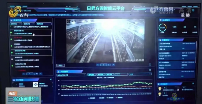 山东日照： 智慧养殖新模式 36万只肉鸡养殖不犯难