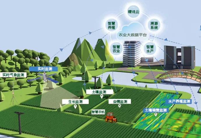 中国数字经济规模全球第二,“农业数字革命”正在到来