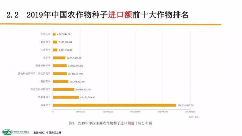 中国每年进口7万吨“洋种子”:14亿人的饭碗,能端稳吗?