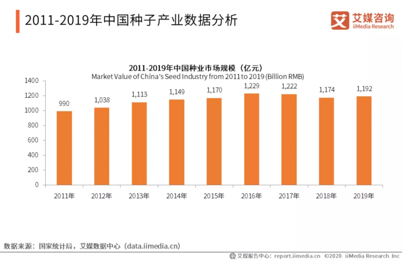 中国每年进口7万吨“洋种子”:14亿人的饭碗,能端稳吗?