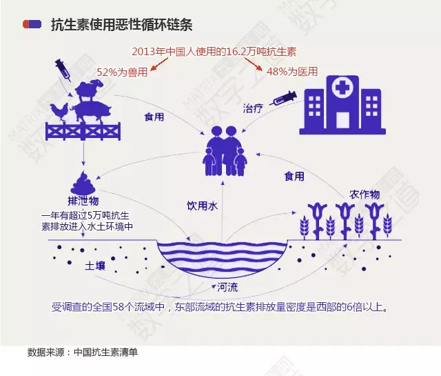 “抗生素肉”摆满中国人餐桌,猪肉含量居然是牛肉的5倍!