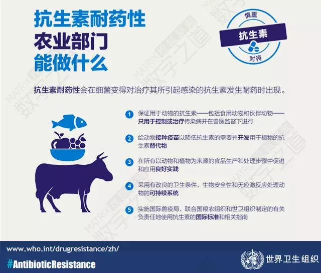 “抗生素肉”摆满中国人餐桌,猪肉含量居然是牛肉的5倍!