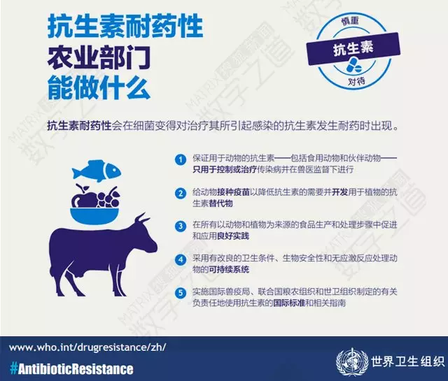 “抗生素肉”摆满中国人餐桌，猪肉含量居然是牛肉的5倍!