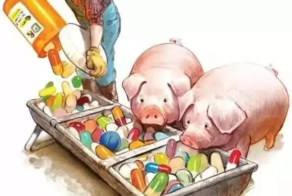 “抗生素肉”摆满中国人餐桌,猪肉含量居然是牛肉的5倍!