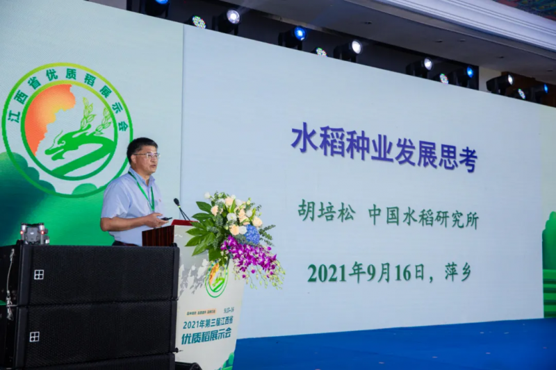 李立秋:种业振兴,难题怎么解?