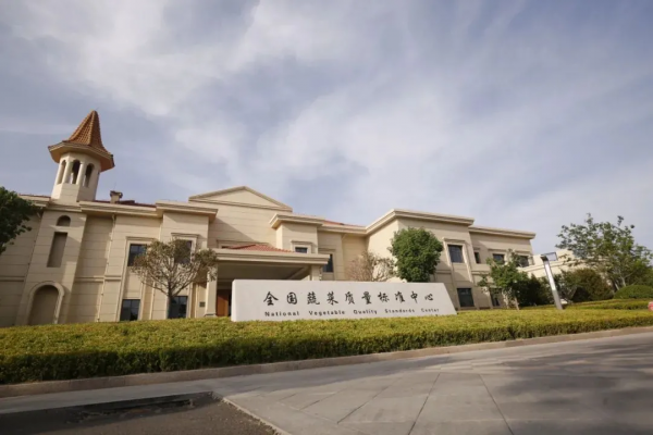 人均年收入40万+,寿光蔬菜成功秘诀到底是什么