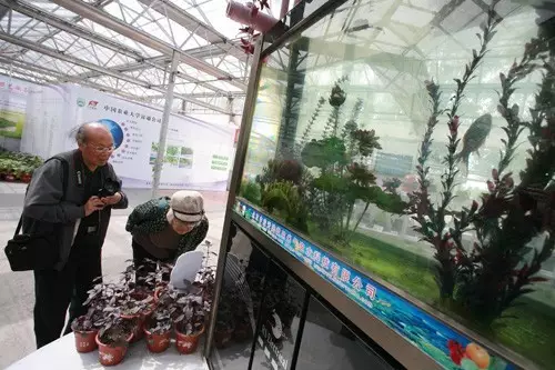 做农业,这几种高效生态农业模式你必须知道
