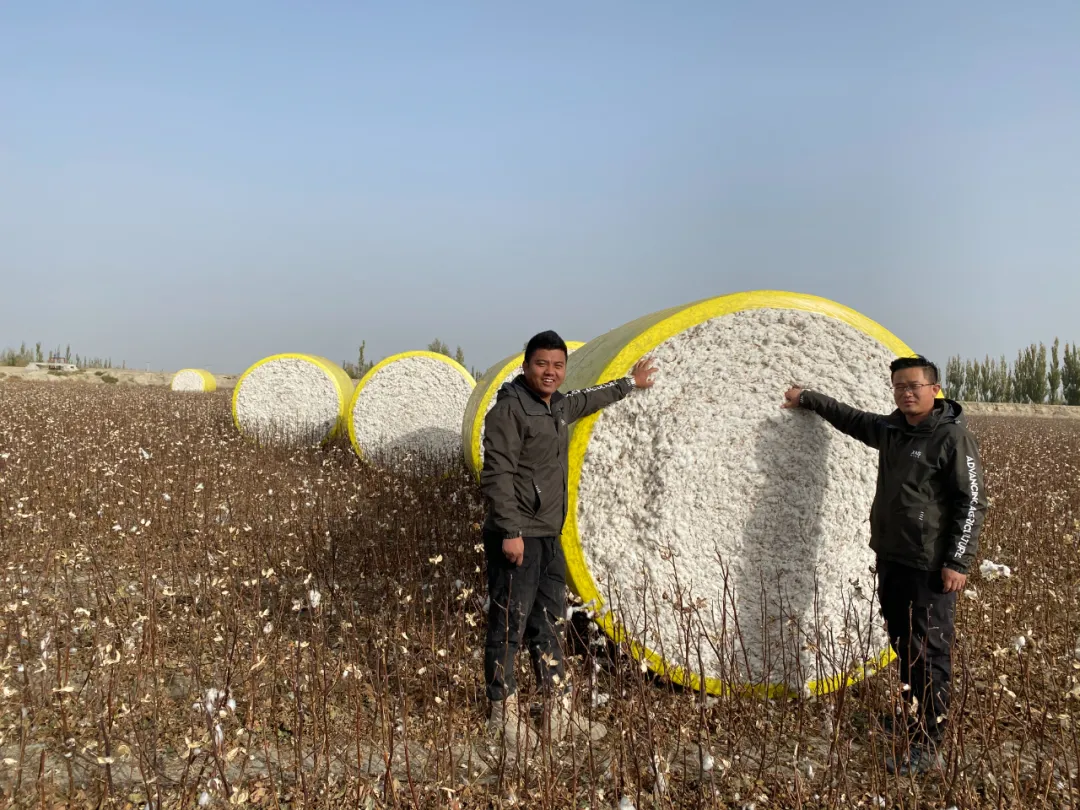 种棉“游戏”——新疆尉犁县“90后”的无人农场印象