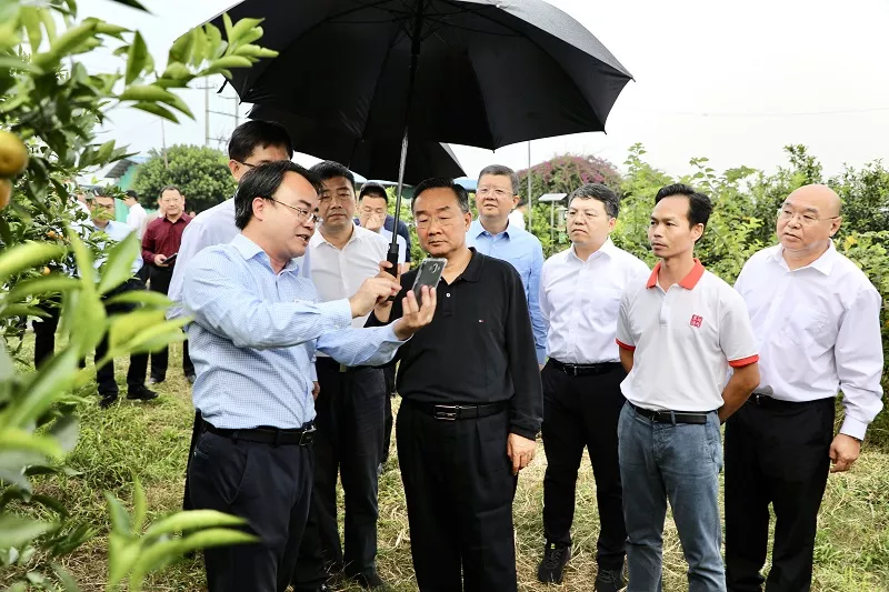 唐仁健:做大做强特色产业,扎实推进乡村建设