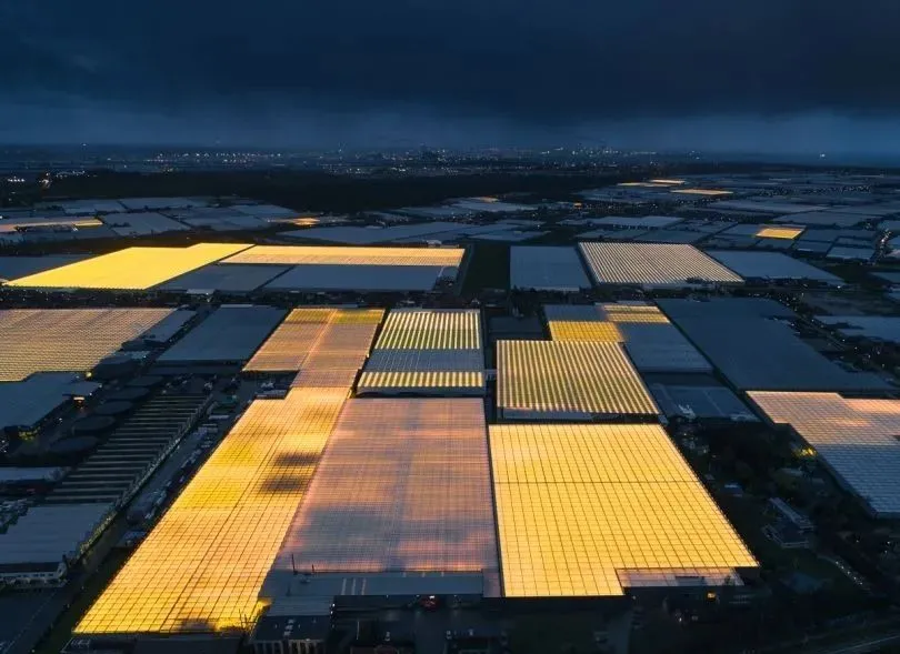 荷兰智能温室夜景，美得令人窒息