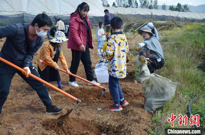 中法环境月：探索“混农林”可持续农业模式