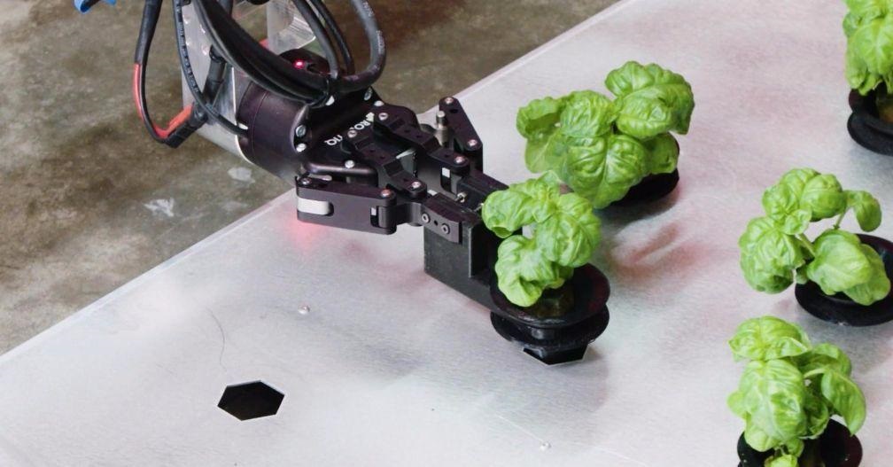 美国研发智慧农场，未来蔬菜将由机器人种植