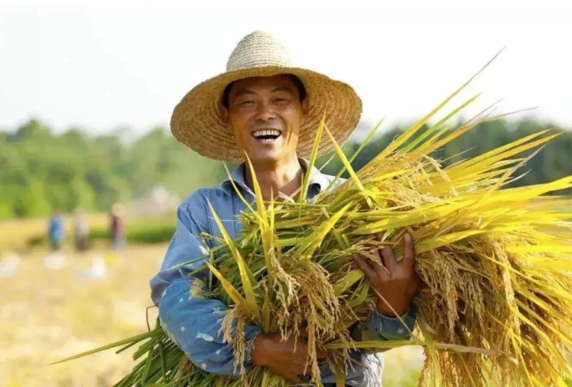 乡村振兴缺人才，加强推进人才走进乡村