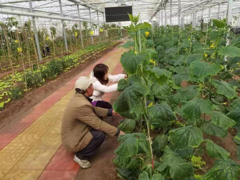 潍坊青州：智慧农业为乡村振兴注入新活力