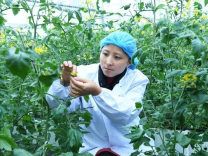 农业产业周报|先正达、仙坛股份、一亩田、天邦股份最新动态