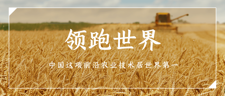 领跑世界：中国这项前沿农业技术居世界第一 