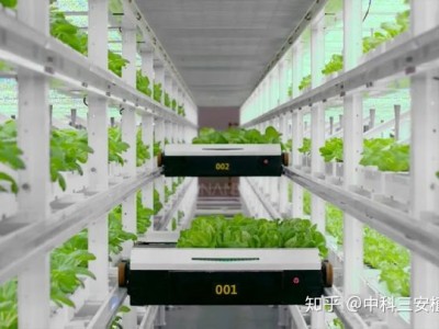 植物工厂