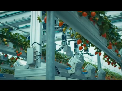 草莓收割机AGROBOT