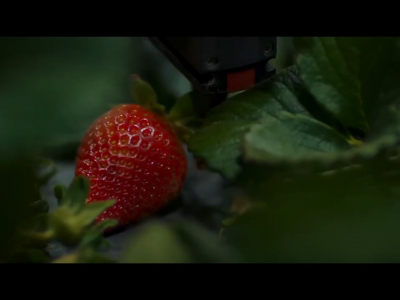 草莓收割机AGROBOT