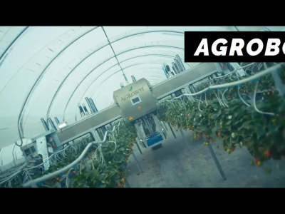 草莓收割机AGROBOT