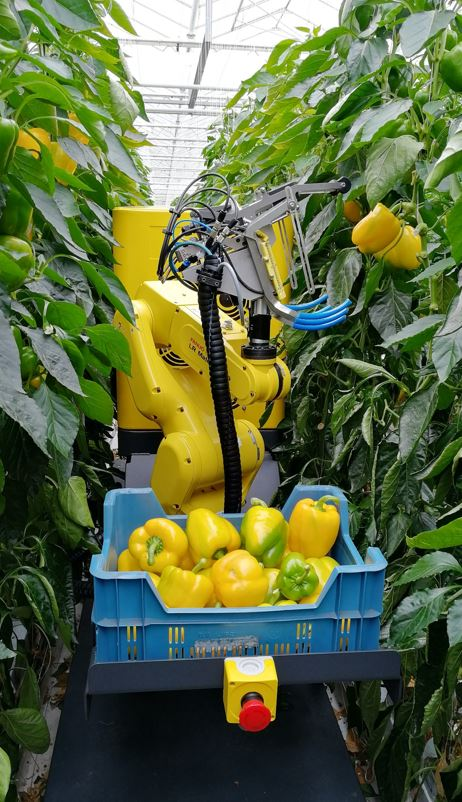 「国际视野」农业机器人助力自动化种植与生产
