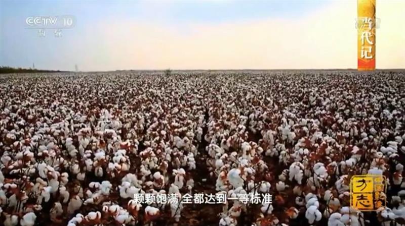 大数据赋能 智慧农业技术助力汶上粮棉产业大发展