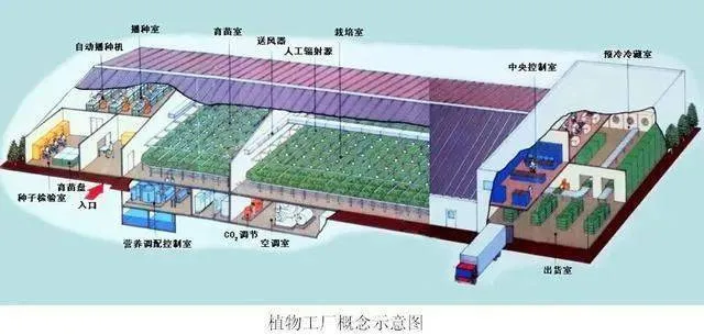 康养农业+植物工厂+智能化，融合协同发展