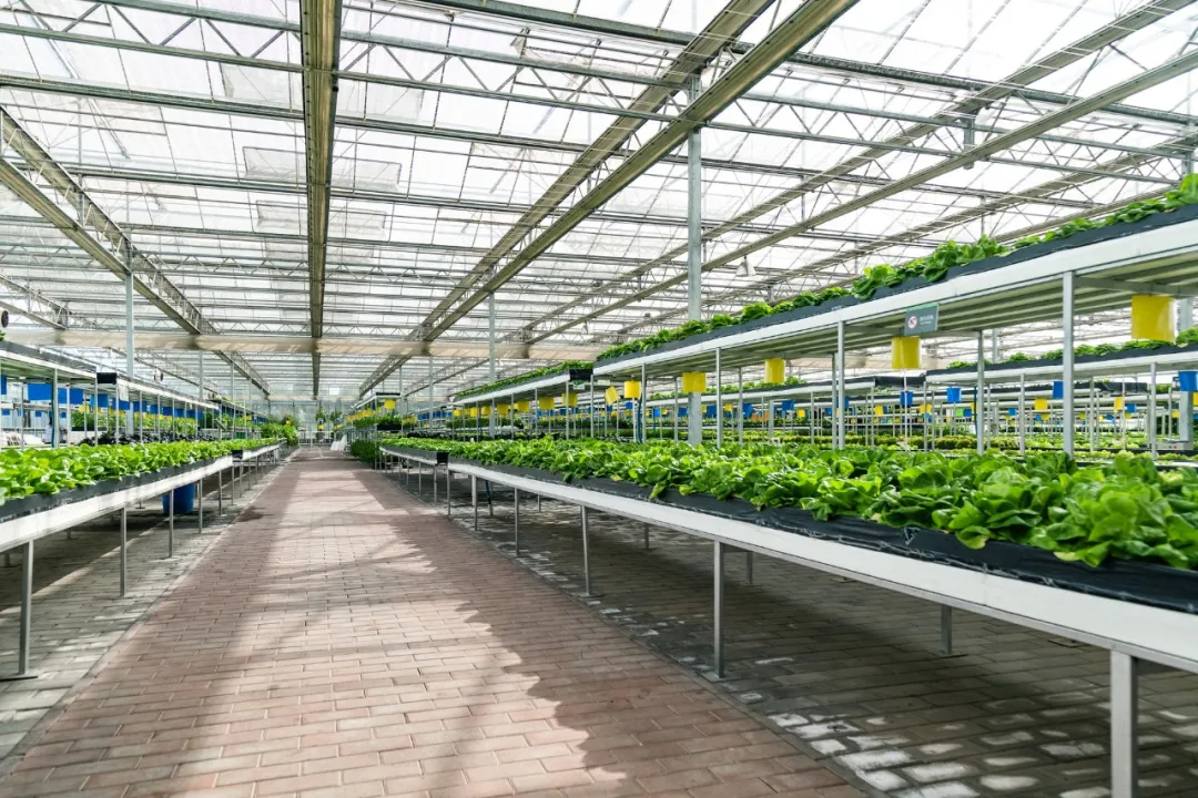 康养农业+植物工厂+智能化，融合协同发展