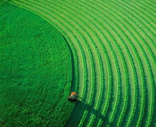 普及农业机械化：法国成欧盟第一大农业生产国之关键密钥