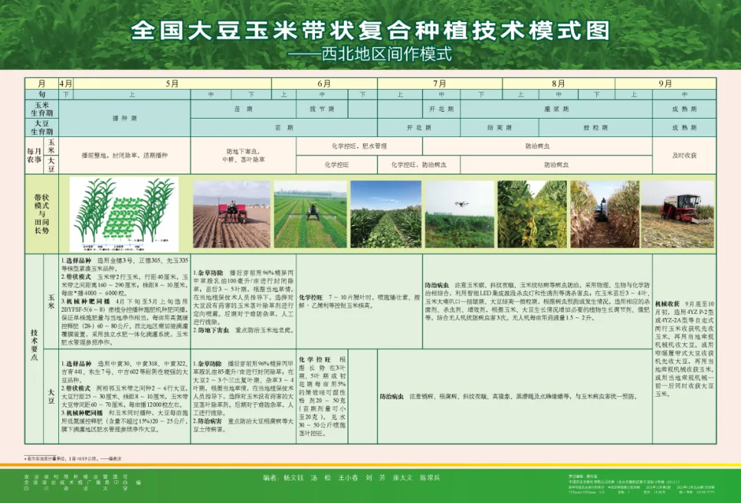 玉米大豆长期发展趋势！大豆自产量可增三倍，利润翻倍！